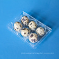 plastic PET clear quail egg tray for sale